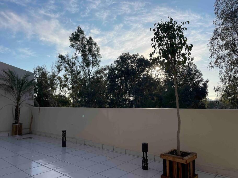 Otay Studio Great Patio Near Otay Crossing & Airport Tijuana Kültér fotó